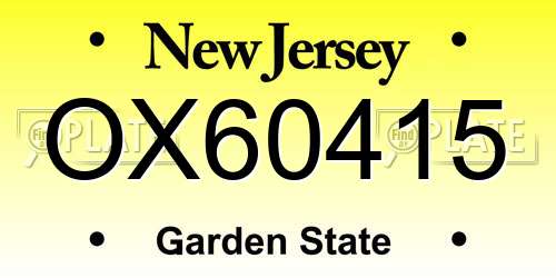 OX60415 New Jersey License Plate