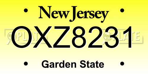 OXZ8231 New Jersey License Plate