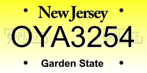 OYA3254 New Jersey License Plate