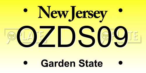 OZDS09 New Jersey License Plate