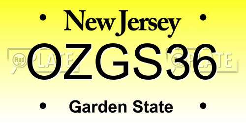 OZGS36 New Jersey License Plate