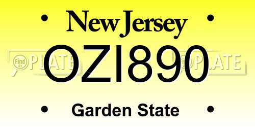 OZI890 New Jersey License Plate