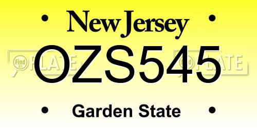 OZS545 New Jersey License Plate
