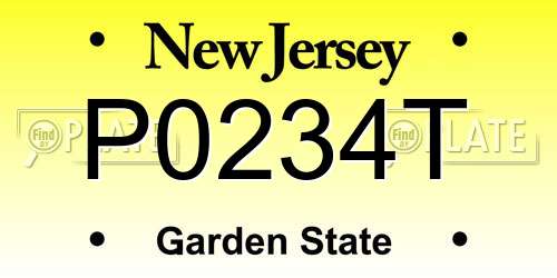 P0234T New Jersey License Plate