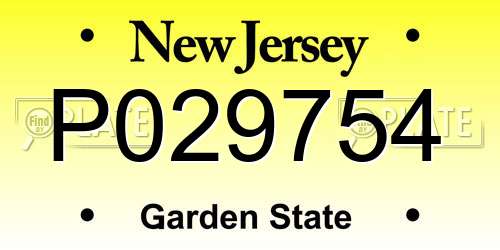 P029754 New Jersey License Plate