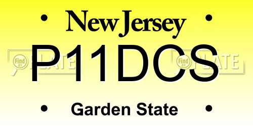 P11DCS New Jersey License Plate