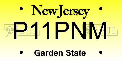 P11PNM New Jersey License Plate