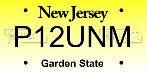 P12UNM New Jersey License Plate