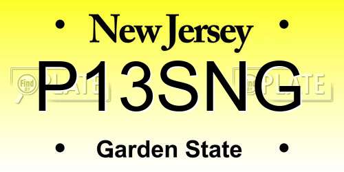 P13SNG New Jersey License Plate