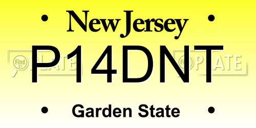 P14DNT New Jersey License Plate