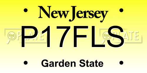 P17FLS New Jersey License Plate