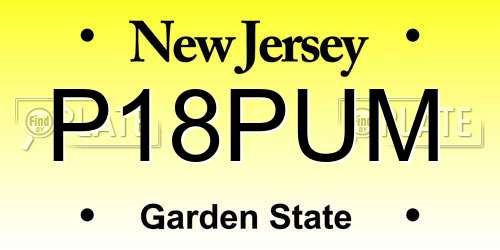 P18PUM New Jersey License Plate