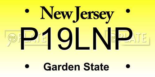 P19LNP New Jersey License Plate