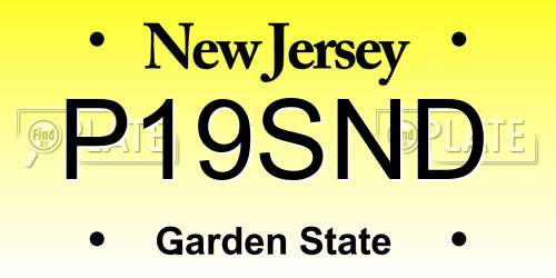 P19SND New Jersey License Plate