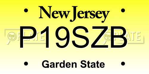 P19SZB New Jersey License Plate