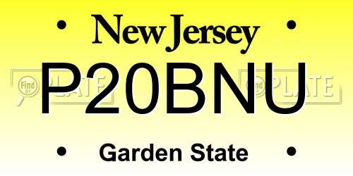 P20BNU New Jersey License Plate
