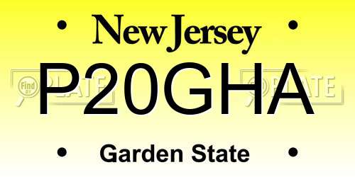 P20GHA New Jersey License Plate