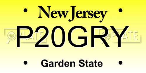 P20GRY New Jersey License Plate