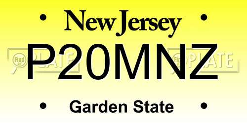 P20MNZ New Jersey License Plate
