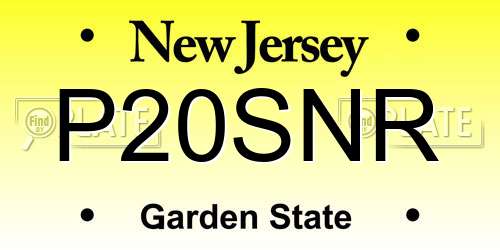 P20SNR New Jersey License Plate