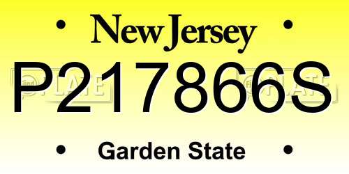 P217866S New Jersey License Plate