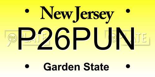 P26PUN New Jersey License Plate