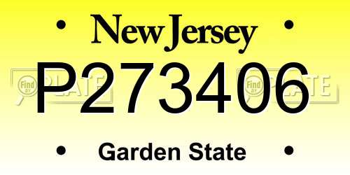 P273406 New Jersey License Plate