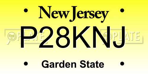 P28KNJ New Jersey License Plate