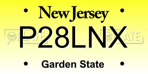 P28LNX New Jersey License Plate