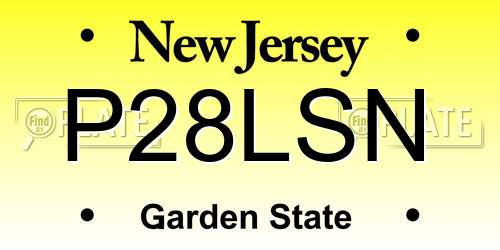 P28LSN New Jersey License Plate