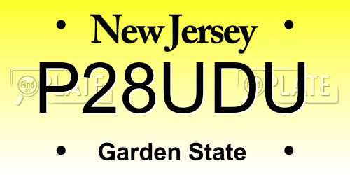 P28UDU New Jersey License Plate