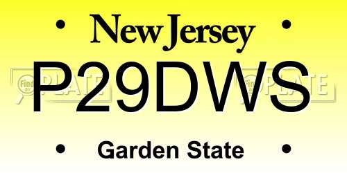 P29DWS New Jersey License Plate