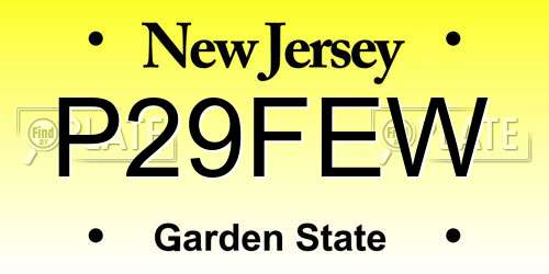 P29FEW New Jersey License Plate