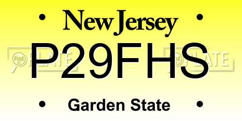 P29FHS New Jersey License Plate