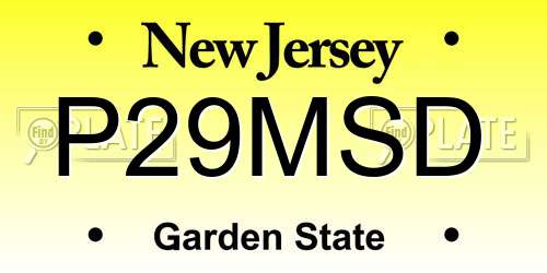 P29MSD New Jersey License Plate