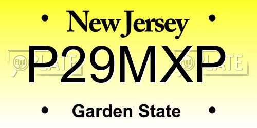 P29MXP New Jersey License Plate