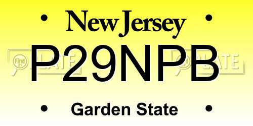 P29NPB New Jersey License Plate