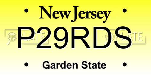 P29RDS New Jersey License Plate