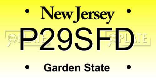 P29SFD New Jersey License Plate