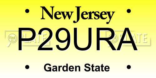 P29URA New Jersey License Plate