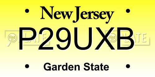 P29UXB New Jersey License Plate