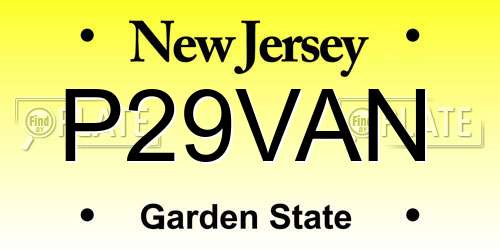 P29VAN New Jersey License Plate