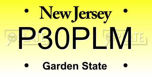 P30PLM New Jersey License Plate