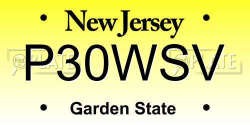 P30WSV New Jersey License Plate