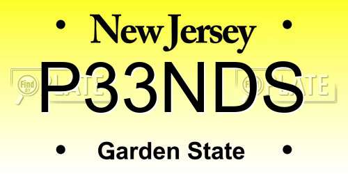 P33NDS New Jersey License Plate