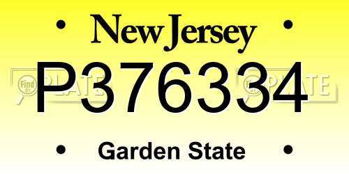 P376334 New Jersey License Plate