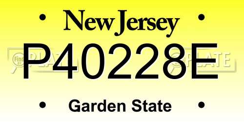P40228E New Jersey License Plate
