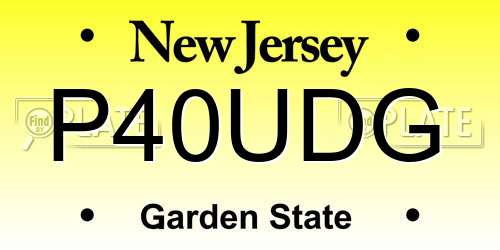 P40UDG New Jersey License Plate