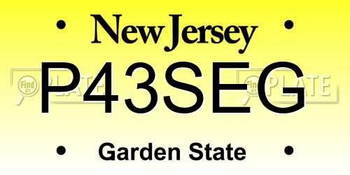 P43SEG New Jersey License Plate