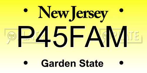 P45FAM New Jersey License Plate